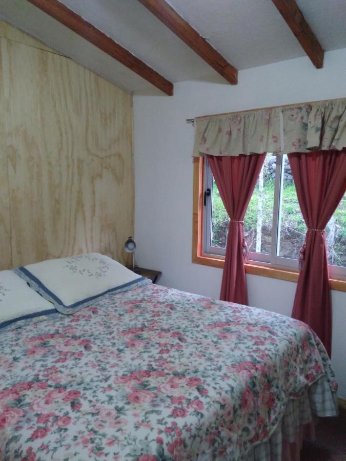 Bed and Breakfast Flor/Victoria Вильяррика Экстерьер фото
